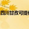 四川甘孜可提供东菱电烤箱维修服务地址在哪