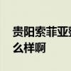 贵阳索菲亚整体衣柜定制 索菲亚整体衣柜怎么样啊 