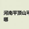 河南平顶山可提供东菱面包机维修服务地址在哪