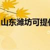 山东潍坊可提供东菱面包机维修服务地址在哪
