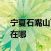 宁夏石嘴山可提供SKG电烤箱维修服务地址在哪