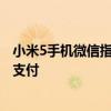 小米5手机微信指纹支付设置方法 小米12怎么设置微信指纹支付 