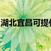 湖北宜昌可提供东菱面包机维修服务地址在哪