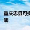 重庆忠县可提供飞利浦电烤箱维修服务地址在哪