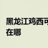 黑龙江鸡西可提供荣事达电烤箱维修服务地址在哪
