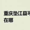 重庆垫江县可提供飞利浦面包机维修服务地址在哪