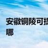 安徽铜陵可提供飞利浦面包机维修服务地址在哪