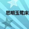 思明玉鹭床垫 求告知厦门玉鹭床垫价格 