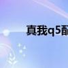 真我q5配置参数 真我Q5参数配置 