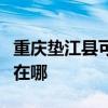 重庆垫江县可提供澳柯玛面包机维修服务地址在哪