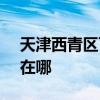 天津西青区可提供SKG加湿器维修服务地址在哪