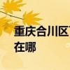 重庆合川区可提供SKG加湿器维修服务地址在哪
