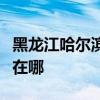 黑龙江哈尔滨可提供红心加湿器维修服务地址在哪 黑龙江哈尔滨可提供红心加湿器维修服务地址在哪