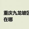 重庆九龙坡区可提供先锋电风扇维修服务地址在哪