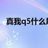 真我q5什么屏幕 真我Q5i支持双卡双待吗 