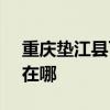 重庆垫江县可提供SKG电风扇维修服务地址在哪