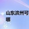 山东滨州可提供SKG电风扇维修服务地址在哪