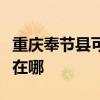 重庆奉节县可提供奥克斯电暖器维修服务地址在哪