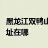 黑龙江双鸭山可提供奥克斯电暖器维修服务地址在哪