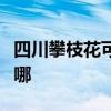 四川攀枝花可提供志高电暖器维修服务地址在哪