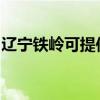 辽宁铁岭可提供联创电暖器维修服务地址在哪