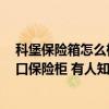 科堡保险箱怎么样 买了一台Burg-Waechter KG百卫特进口保险柜 有人知道放在什么位置比较好吗 