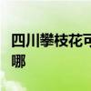 四川攀枝花可提供联创电暖器维修服务地址在哪