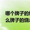 哪个牌子的烧水壶质量好呢 朋友们讲讲买什么牌子的烧水壶 