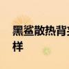 黑鲨散热背夹搭配rog5 黑鲨5手机散热怎么样 