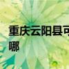 重庆云阳县可提供康佳榨汁机维修服务地址在哪