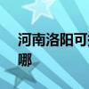 河南洛阳可提供SKG榨汁机维修服务地址在哪
