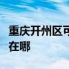 重庆开州区可提供艾美特榨汁机维修服务地址在哪