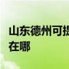 山东德州可提供夏普空气净化器维修服务地址在哪