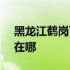 黑龙江鹤岗可提供SKG榨汁机维修服务地址在哪