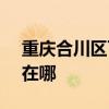 重庆合川区可提供SKG榨汁机维修服务地址在哪