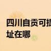 四川自贡可提供飞利浦空气净化器维修服务地址在哪