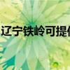 辽宁铁岭可提供洛贝榨汁机维修服务地址在哪