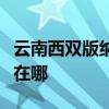 云南西双版纳可提供康佳榨汁机维修服务地址在哪 云南西双版纳可提供康佳榨汁机维修服务地址在哪