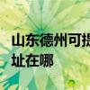 山东德州可提供飞利浦空气净化器维修服务地址在哪