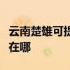 云南楚雄可提供联想空气净化器维修服务地址在哪