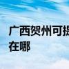 广西贺州可提供松下空气净化器维修服务地址在哪
