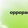 oppopad怎么样 oppopad怎么样 