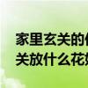 家里玄关的位置放什么花 谁能告诉我门口玄关放什么花好 