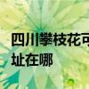 四川攀枝花可提供莱克空气净化器维修服务地址在哪