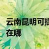 云南昆明可提供松下空气净化器维修服务地址在哪