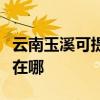 云南玉溪可提供奔腾空气净化器维修服务地址在哪