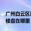 广州白云区最便宜楼盘 我想问广州最便宜的楼盘在哪里 