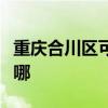 重庆合川区可提供海尔挂烫机维修服务地址在哪