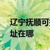辽宁抚顺可提供SKG空气净化器维修服务地址在哪