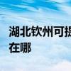 湖北钦州可提供奔腾空气净化器维修服务地址在哪